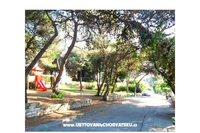 GREEN GARDEN &amp; BUENA VISTA  – photo 8