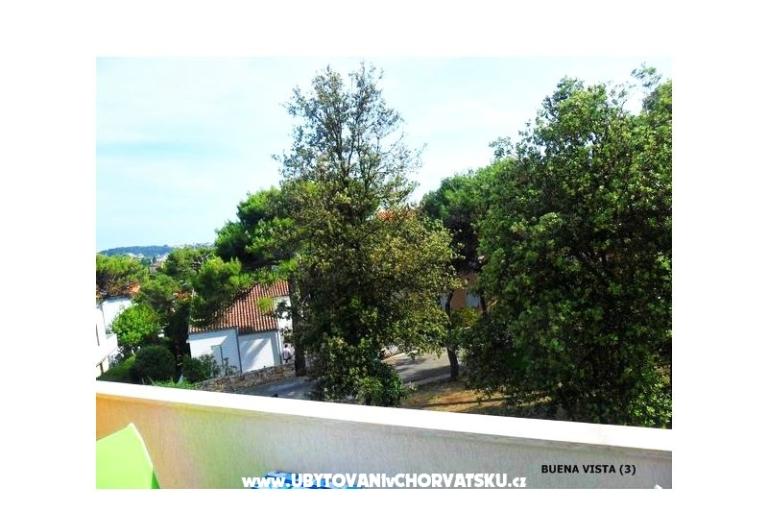 GREEN GARDEN &amp; BUENA VISTA  – photo 9