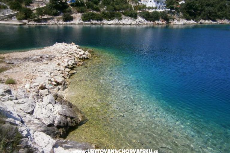 Apartment Buturić – photo 15