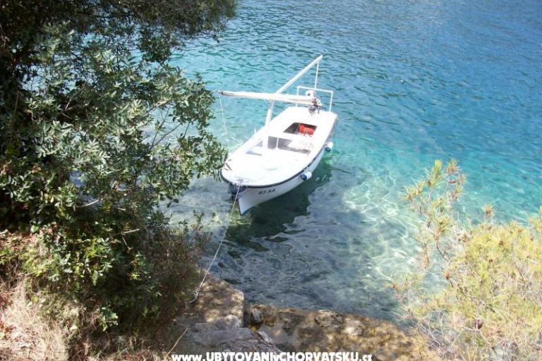 Apartment Buturić – photo 16