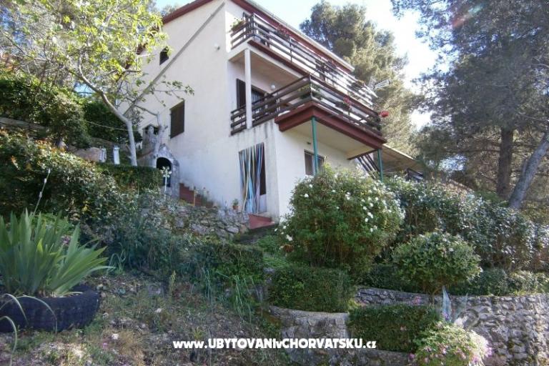 Apartment Buturić – photo 17