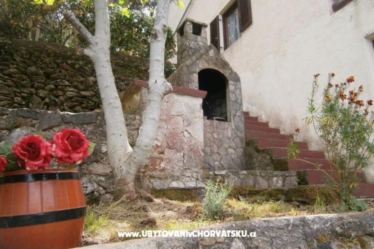 Apartment Buturić – photo 6