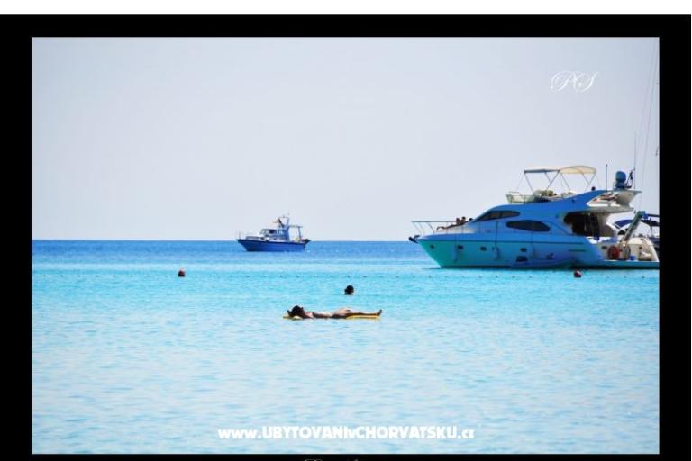 Apartments  Zaglav Dugi otok  – photo 12