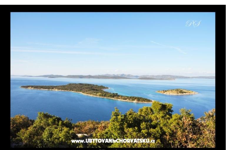 Apartments  Zaglav Dugi otok  – photo 13
