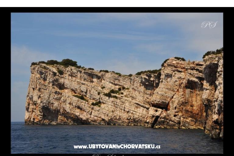 Apartments  Zaglav Dugi otok  – photo 15