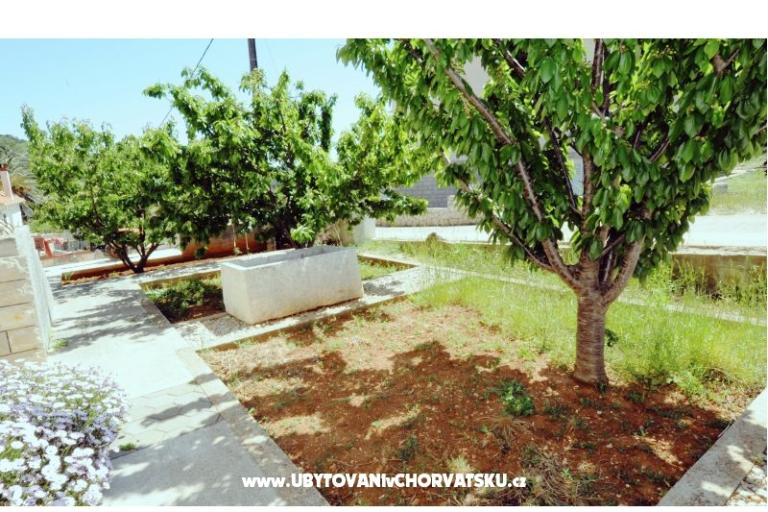 Apartments Nina – photo 2