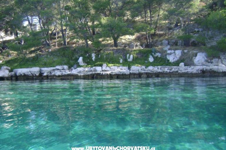 Apartments - Otok Lavdara – photo 2