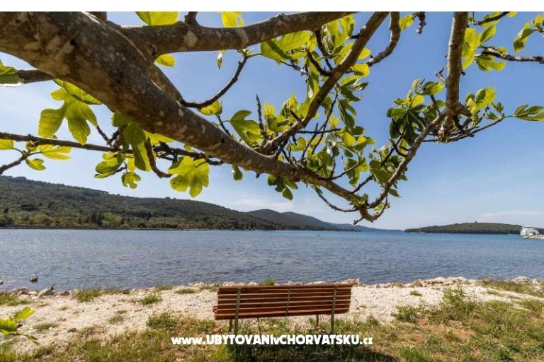 Villa Alegria – photo 15