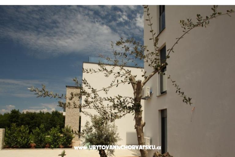 Villa Adriatic Istra – photo 5