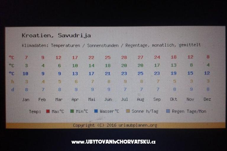 Villa Elena – photo 13