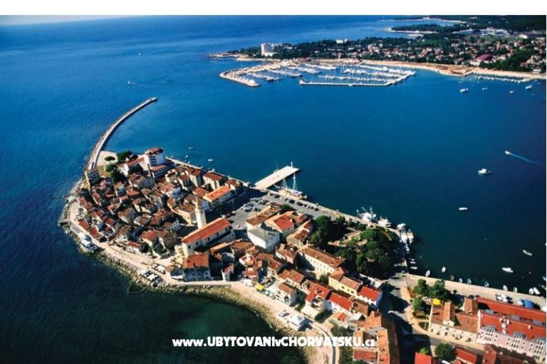 Villa Elena – photo 15