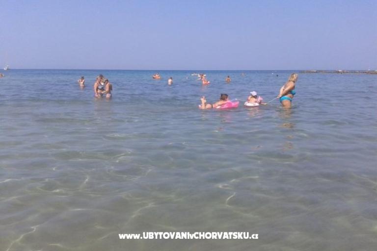 Villa Elena – photo 2