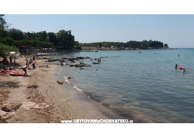 Villa Elena – photo 6