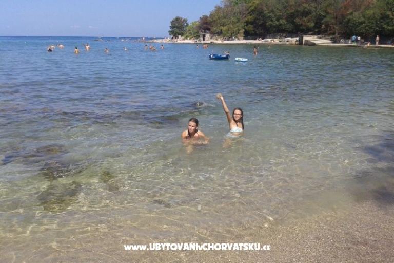 Villa Elena – photo 7