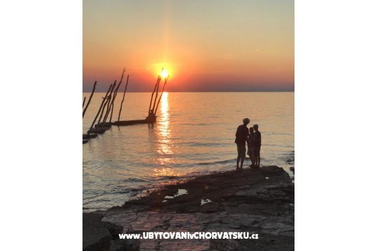 Villa Elena – photo 9