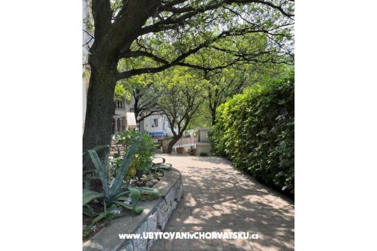 Villa "NIKO" – photo 6