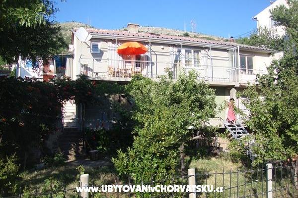 VIOLA – photo 2