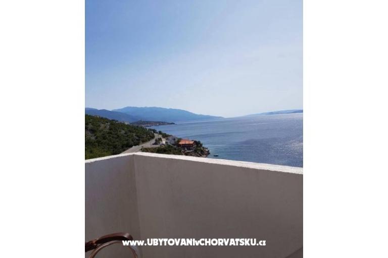 Renata – photo 15
