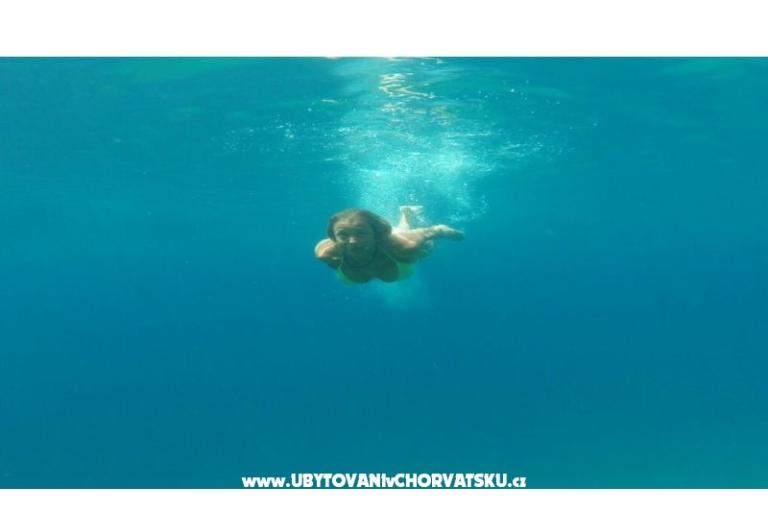 Renata – photo 16