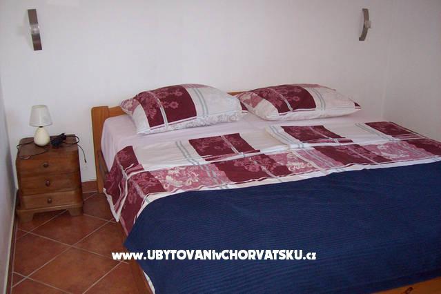 Renata – photo 7