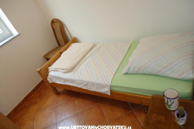 Renata – photo 8
