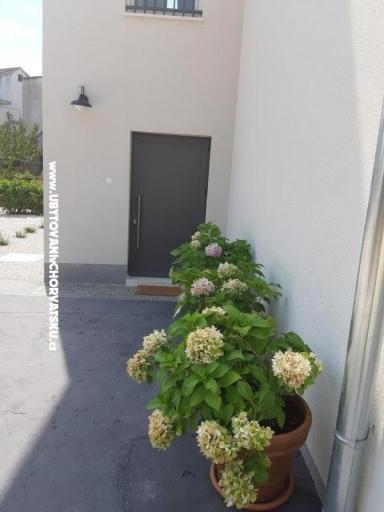 Apartment Era  – photo 15