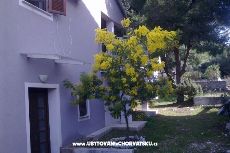 Apartment Katarina – photo 8