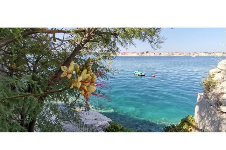 Apartment Mare – photo 18