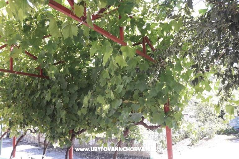 Apartment Stara kuća  – photo 3