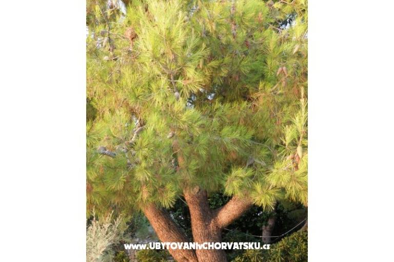 Apartments Adrijana – photo 11