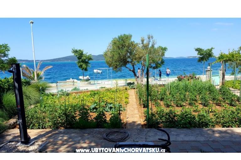 Apartments Cvita i  Luca  – photo 8