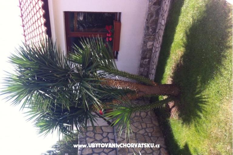 Apartments Mirjana – photo 15