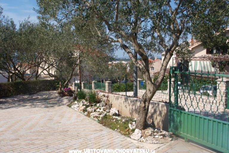 Apartments Žepina – photo 5