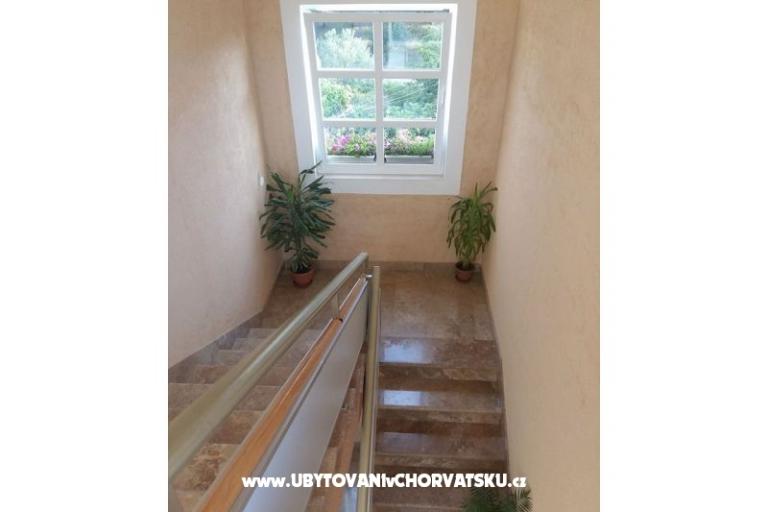 Apartments Katarina – photo 7