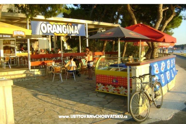 Apartments Brodarica Gaj – photo 11