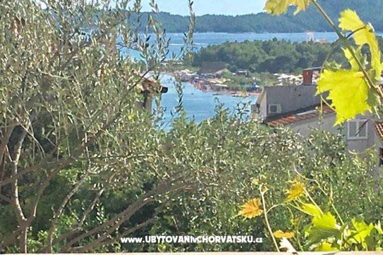 Apartments Nina  – photo 9