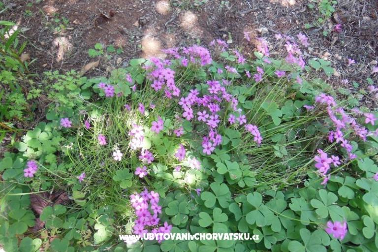 Holidayhome Oleander – photo 13