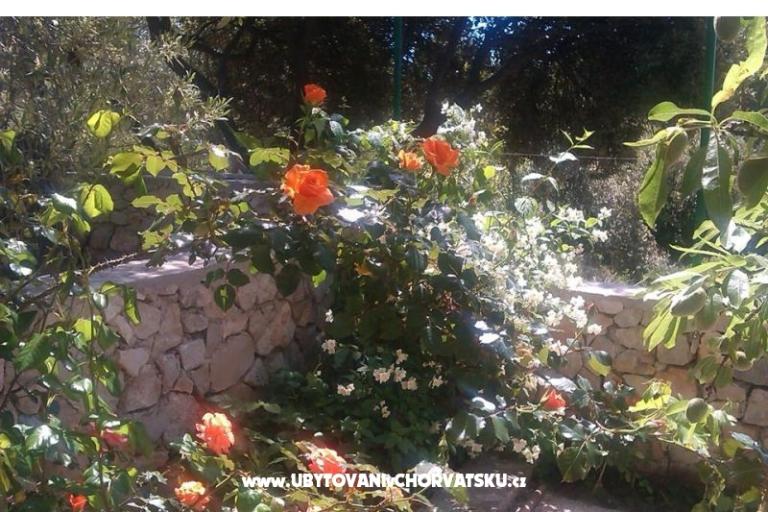 Lavanda Apartment – photo 17
