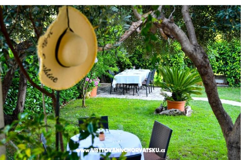 Apartments CURIĆ – photo 4