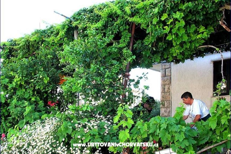 Pansion Lobrović – photo 8