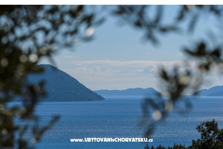 Pansion Sunce – photo 15