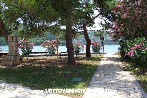 Apartments POLAČA - Slano – photo 10