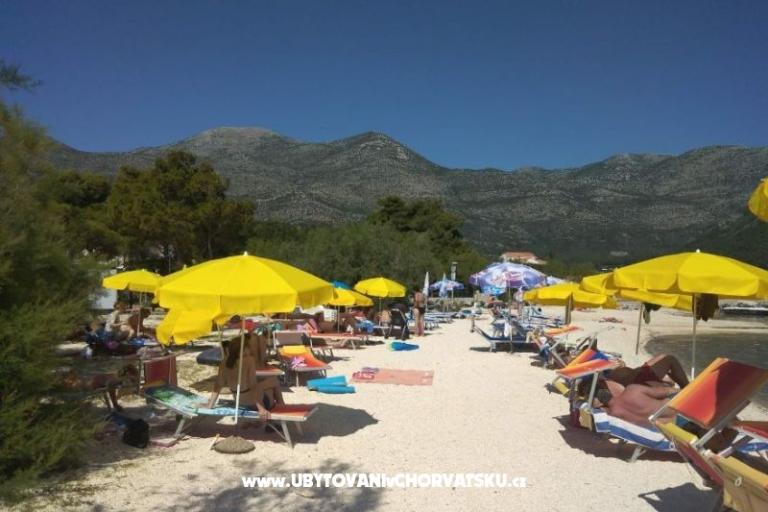 Apartments POLAČA - Slano – photo 14