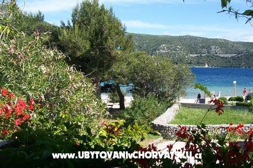 Apartments POLAČA - Slano – photo 9