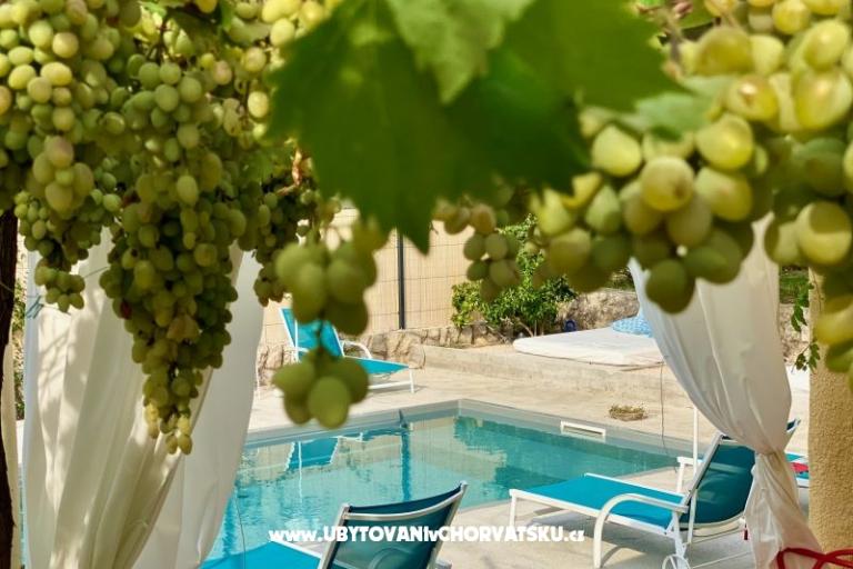 Villa Dube Slano/ villa with pool – photo 12