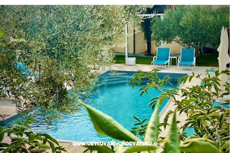 Villa Dube Slano/ villa with pool – photo 4