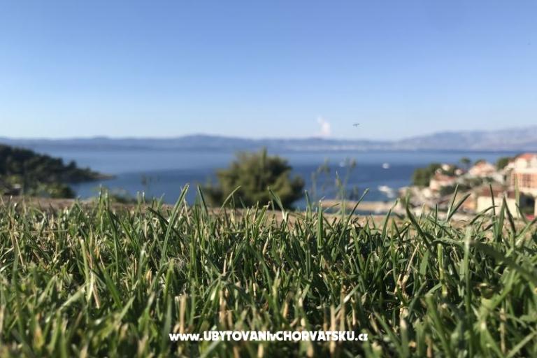 Sunny Apartments Solta – photo 7