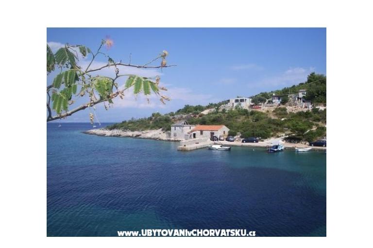 Vesna Batinic – photo 16