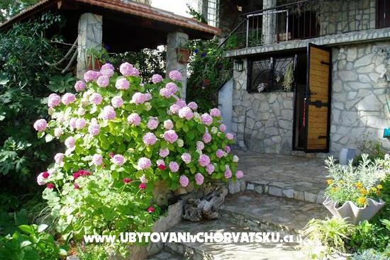 Apartments Dada  – photo 6