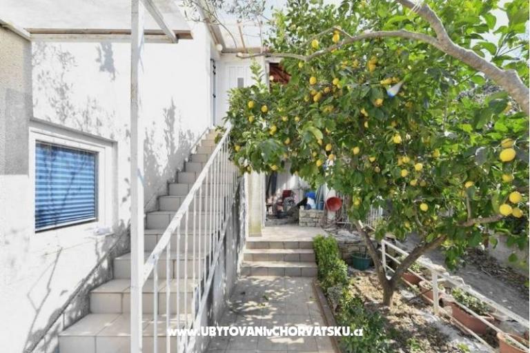 Apartments Neda – photo 3